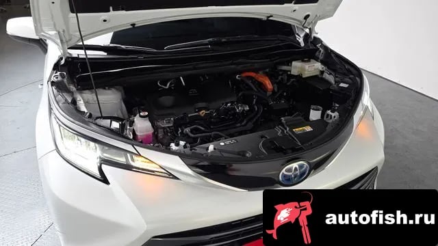 Toyota Sienna Siena 4th Generation 2024 года - вид 6