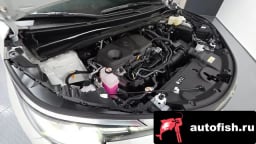 Миниатюра 6