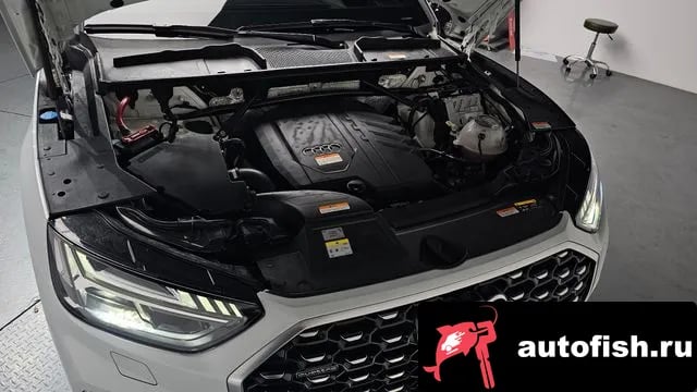 Audi Q5 Q5 (FY) 2023 года - вид 5