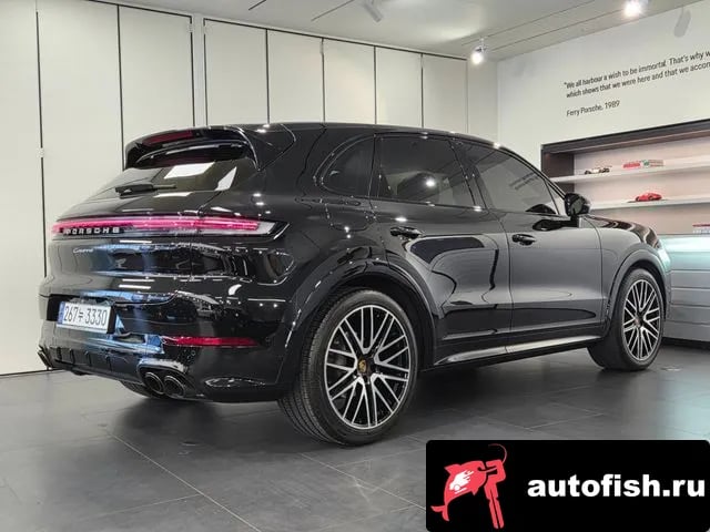 Porsche Cayenne Cayenne (PO536) 2024 года - вид 2