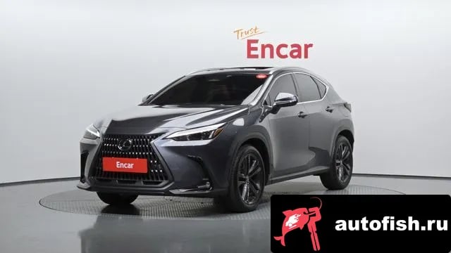Lexus NX NX350h Second generation 2024 года - автомобиль из Южной Кореи