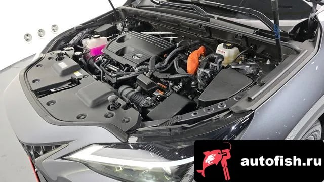 Lexus NX NX350h Second generation 2024 года - вид 6