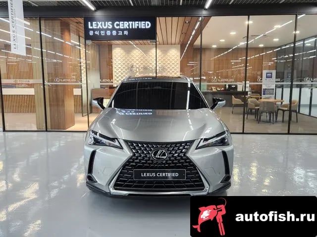Lexus UX UX300h 2024 года - вид 3
