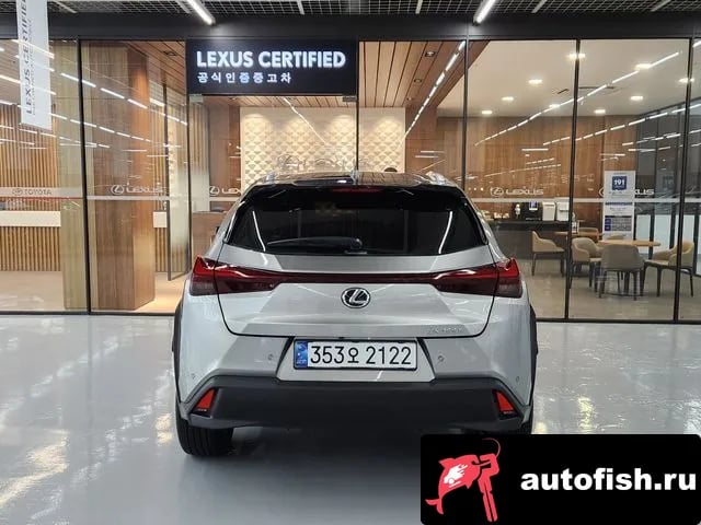Lexus UX UX300h 2024 года - вид 4