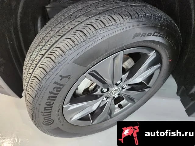 Lexus UX UX300h 2024 года - вид 5