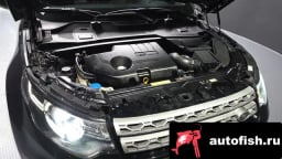 Миниатюра 6