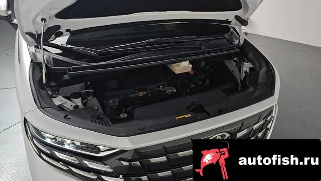 Toyota Alphard Alphad 4th Generation 2024 года - вид 5