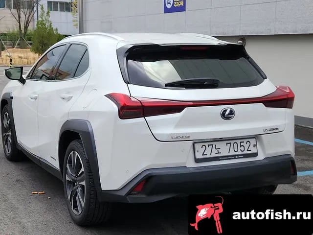 Lexus UX UX250h 2019 года - вид 4