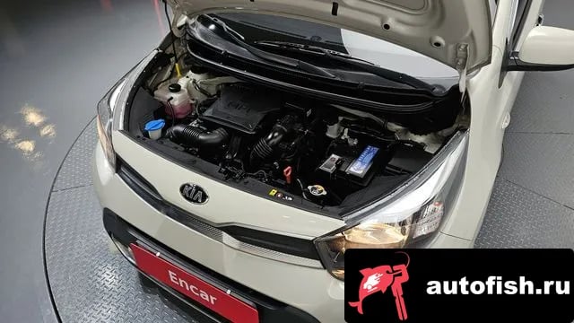 Kia morning Morning Urban (JA) 2021 года - вид 6