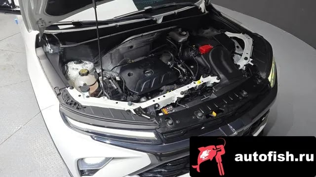 Chevrolet (GM Daewoo) Trailblazer The New Trail Blazer 2024 года - вид 6