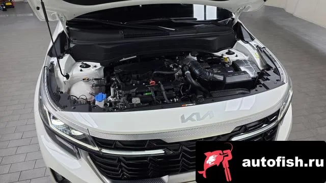 Kia Seltos The New Celtos 2024 года - вид 6