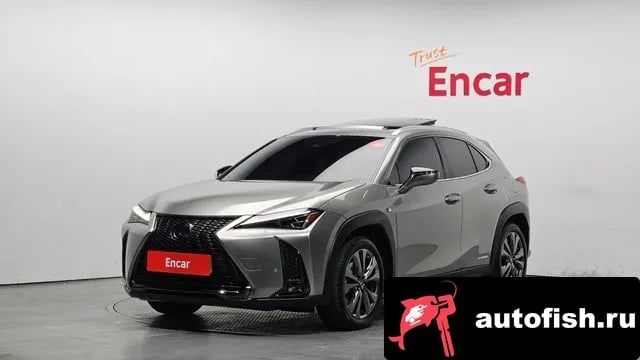 Lexus UX UX250h 2021 года - вид 1