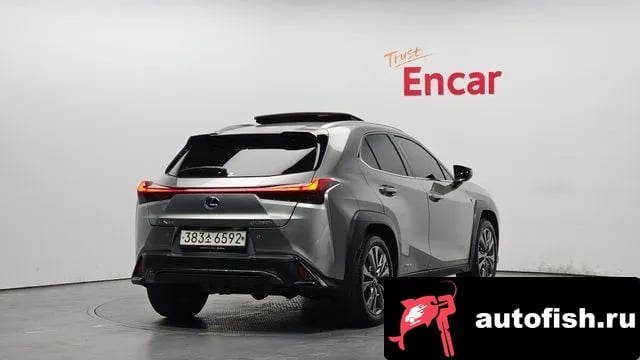 Lexus UX UX250h 2021 года - вид 2