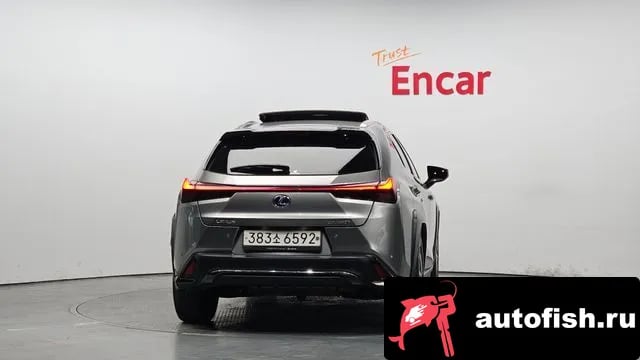 Lexus UX UX250h 2021 года - похожие автомобили