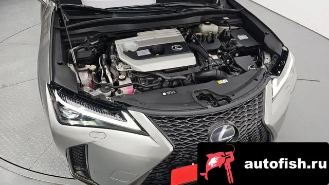 Lexus UX UX250h 2021 года - вид 6