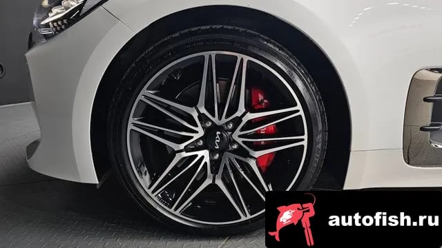 Kia Stinger Stinger Meister 2023 года - вид 5