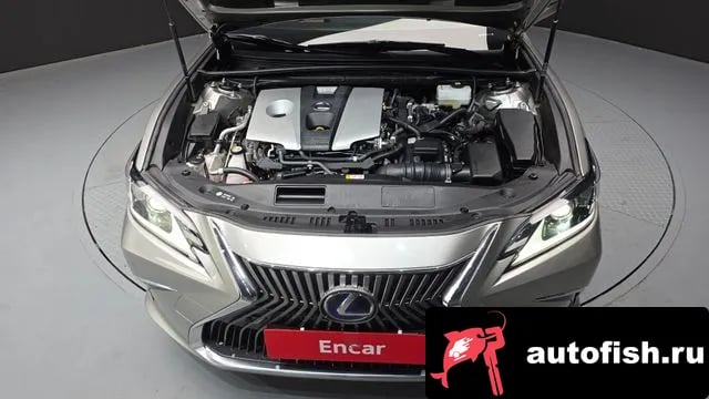 Lexus ES ES300h 7th generation 2021 года - вид 6