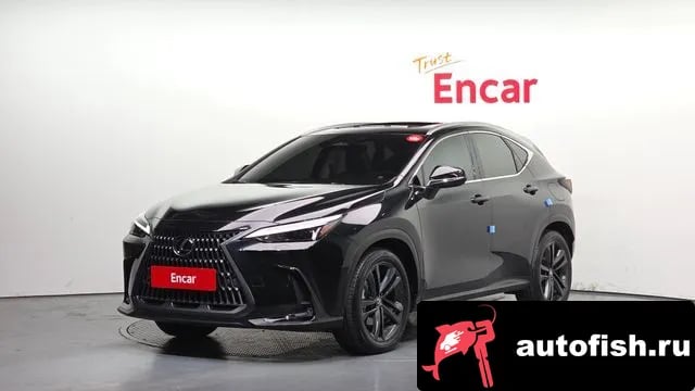 Lexus NX NX350h Second generation 2023 года - вид 1
