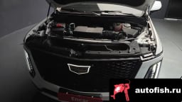 Миниатюра 6