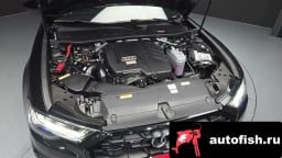 Миниатюра 6