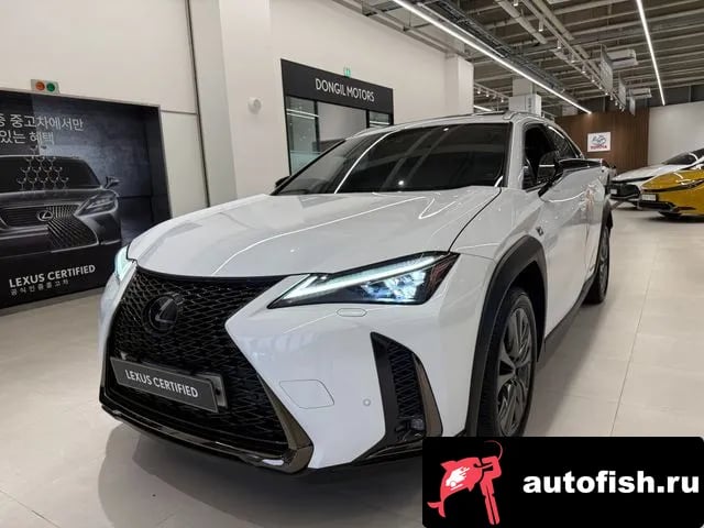 Lexus UX UX250h 2020 года - похожие автомобили