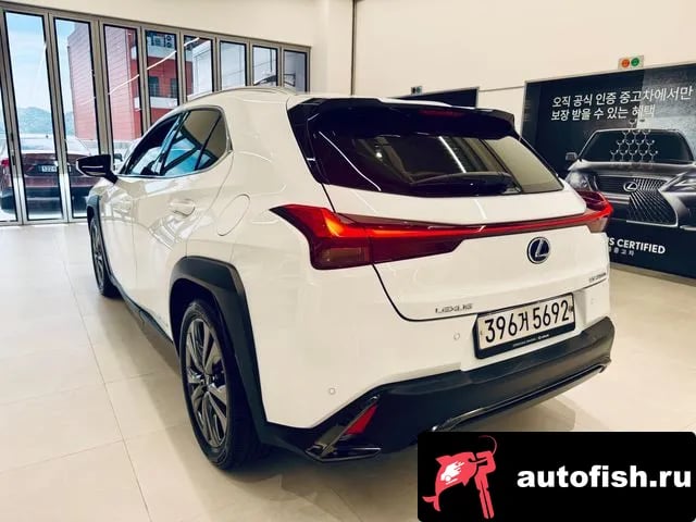 Lexus UX UX250h 2020 года - вид 2