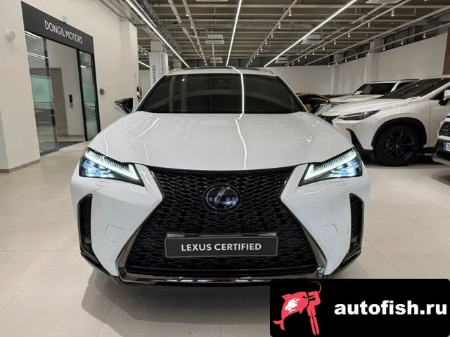 Lexus UX UX250h 2020 года - вид 3