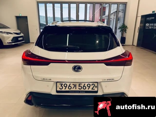Lexus UX UX250h 2020 года - вид 4