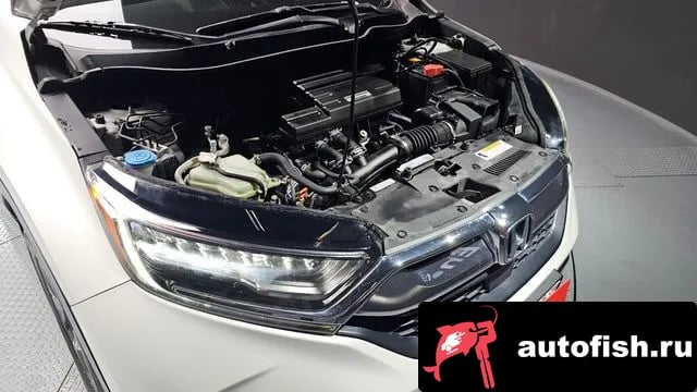 Honda CR-V CR-V 5th generation 2019 года - вид 6