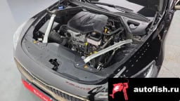 Миниатюра 6