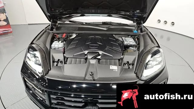 Porsche Cayenne Cayenne (PO536) 2024 года - вид 6