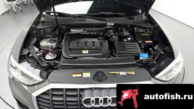 Audi Q3 Q3 (F3) 2022 года - вид 6