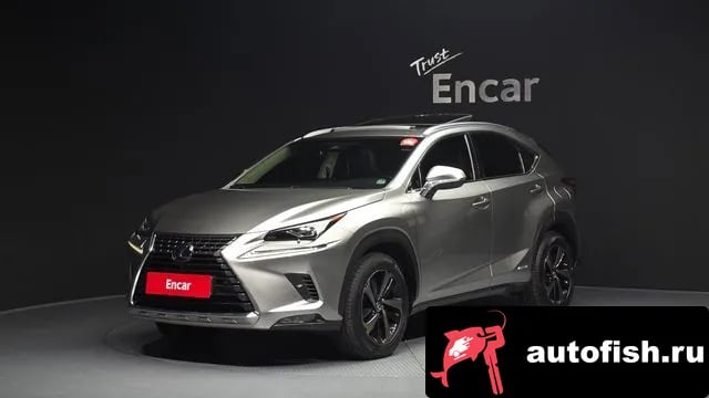 Lexus NX NX300h 2019 года - автомобиль из Южной Кореи