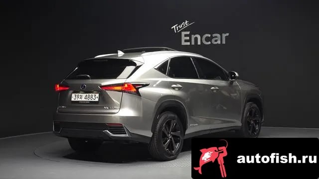Lexus NX NX300h 2019 года - вид 2