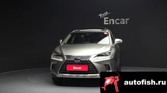 Lexus NX NX300h 2019 года - вид 3