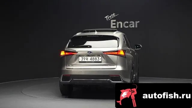 Lexus NX NX300h 2019 года - вид 4