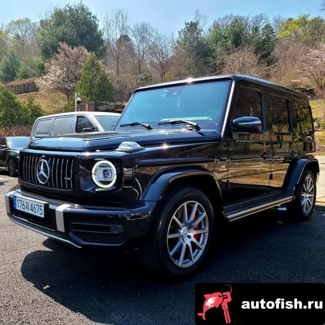 Mercedes-Benz G-Class G-Class W463b 2020 года - вид 1