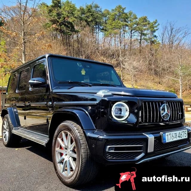 Mercedes-Benz G-Class G-Class W463b 2020 года - вид 4