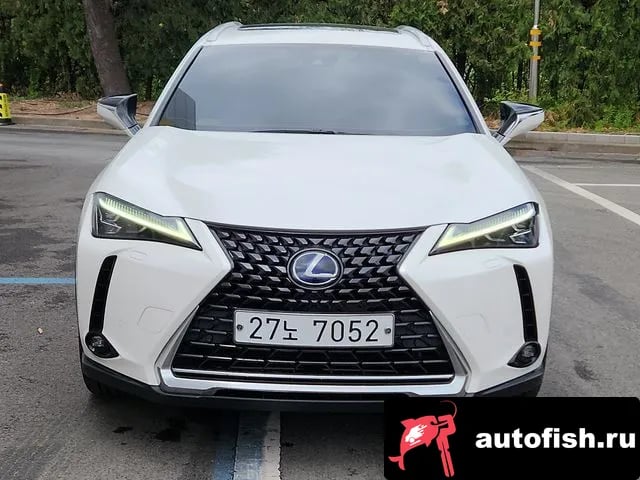 Lexus UX UX250h 2019 года - вид 5