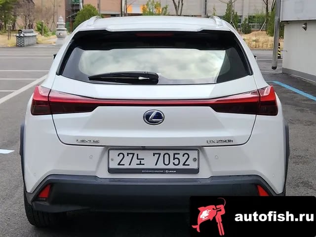 Lexus UX UX250h 2019 года - вид 6