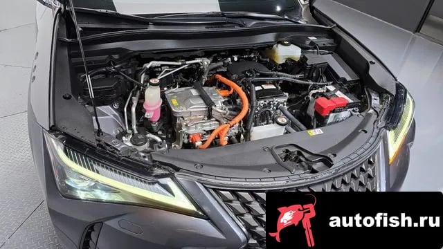 Lexus UX UX300e 2022 года - вид 6