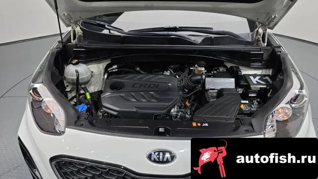 Kia Sportage Sportage The Bold 2018 года - вид 6