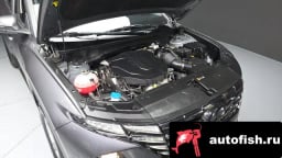 Миниатюра 6