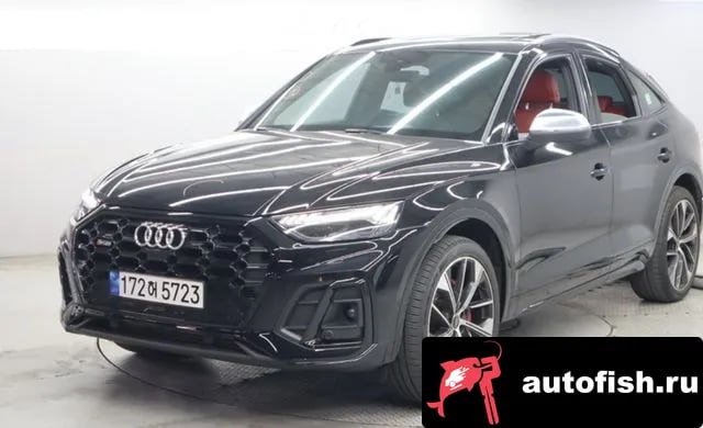 Audi SQ5 SQ5 (FY) 2023 года - вид 1