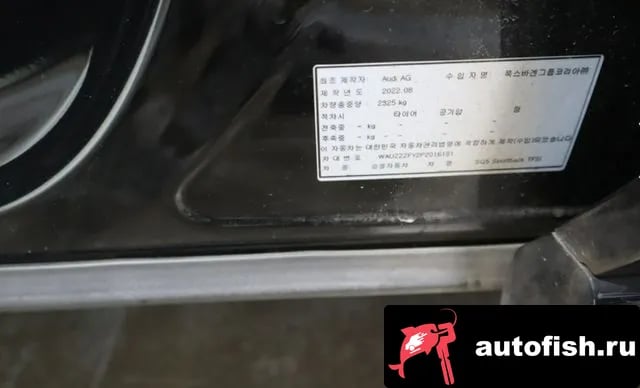 Audi SQ5 SQ5 (FY) 2023 года - вид 6