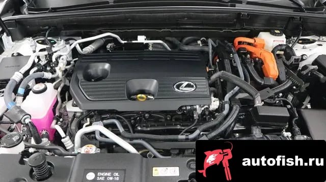 Lexus NX NX450h + 2nd generation 2025 года - вид 6