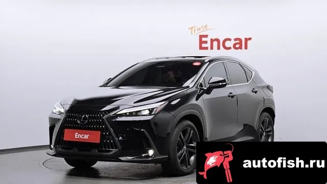 Lexus NX NX350h Second generation 2023 года - вид 1