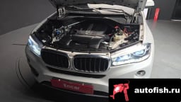 Миниатюра 6