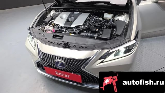 Lexus ES ES300h 7th generation 2019 года - вид 6