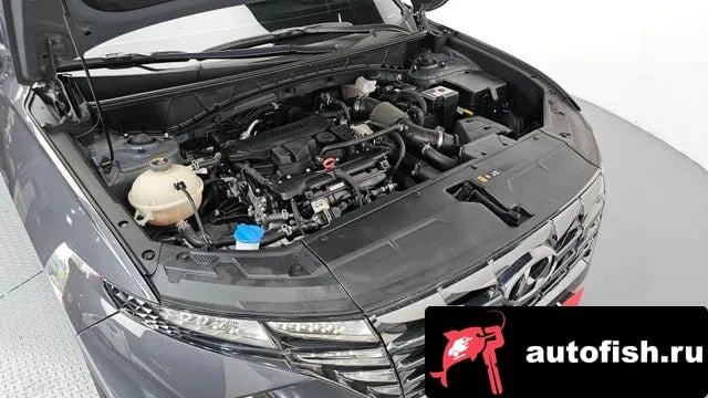 Hyundai Tucson Tucson (NX4) 2021 года - вид 6